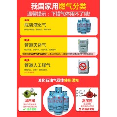 樱花家用燃气热水器烟道式强排式燃气热水器家用节能省气6升8升10升 8升铜水箱款（显示屏+豪华配件 +排烟管） 液化煤气20y