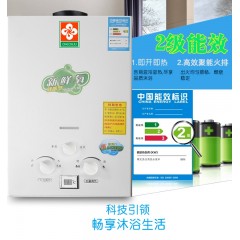 樱花家用燃气热水器烟道式强排式燃气热水器家用节能省气6升8升10升 6升强排（铜水箱+显示+豪华配件 +排烟管） 液化煤气20y